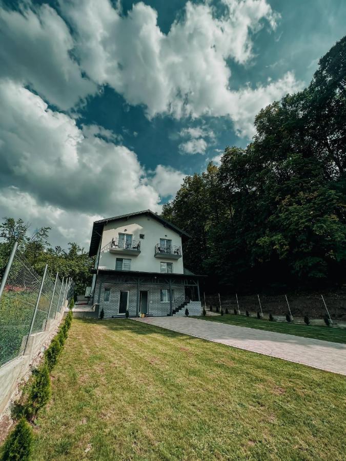 Готель Casa Dumitru 2 Valea Borului Екстер'єр фото